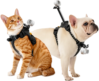 Insta360 Pet Harness Mount Size S