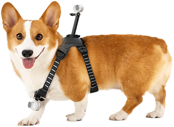 Insta360 Pet Harness Mount Size M