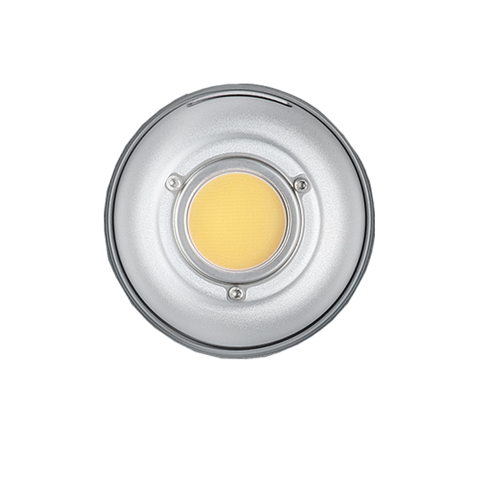Glass filter for Aputure 300x