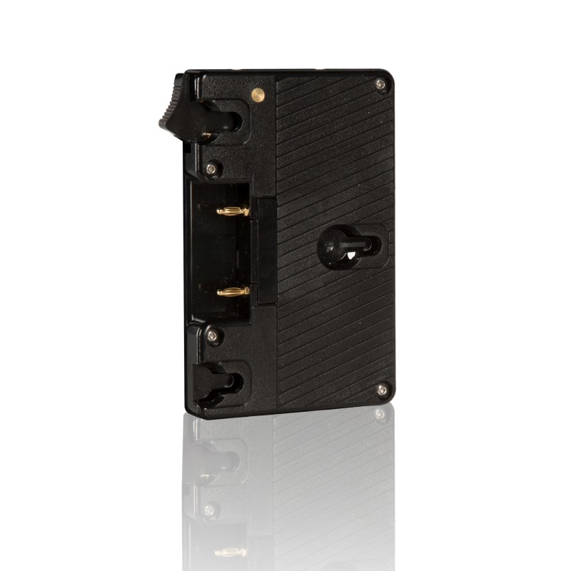 SHAPE GOLD MOUNT LOCK PLATE