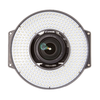 Led-ringlys R-300S SE Bi-Colour