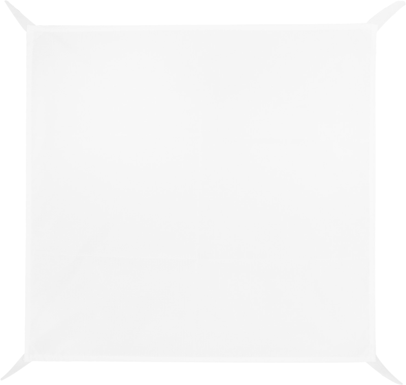 Zhiyun Softbox Parabolic 90cm (Bowens Mount) - 4
