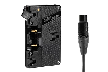 Wooden Camera Gold Mount (XLR 4 Pin)