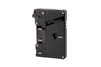 Wooden Camera Gold Mount (Dual D-Tap)