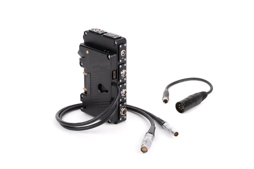 Wooden Camera D-Box (Alexa Mini / Mini LF, Gold Mount) - 2
