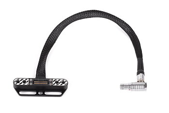 Wooden Camera RED Male 16pin to Fem. Pogo LCD/EVF Cbl. (12", DSMC2)