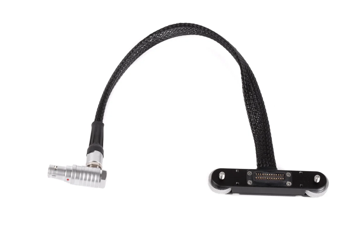 Wooden Camera RED Male Pogo to Male 16pin LCD/EVF Cbl. (12", DSMC2) - 2