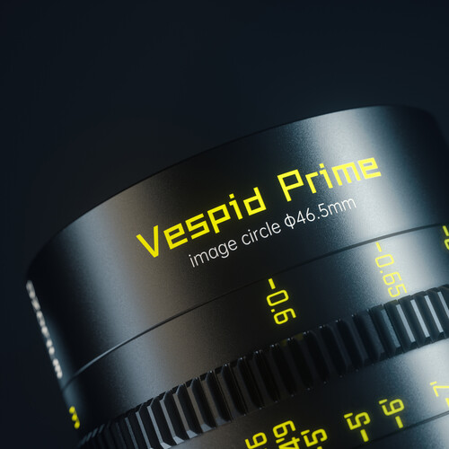 DZOFilm VESPID 90mm macro T2.8 Lens PL / EF Mount