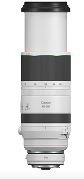 Canon RF 100–500 mm f/4.5–7.1 L IS USM