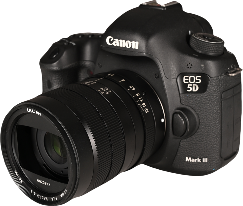 Laowa 60mm f/2.8 2X Ultra-Macro Lens - Canon EF - 6