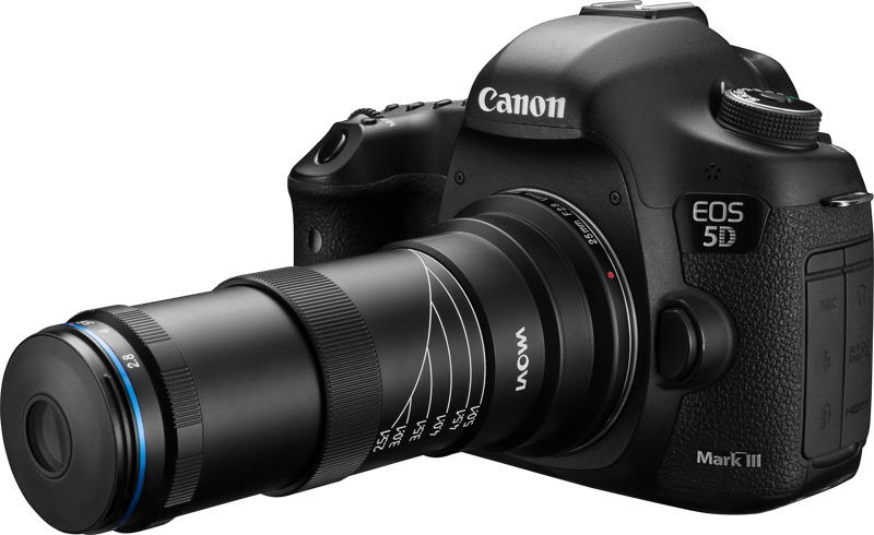 Laowa 25mm f/2.8 2.5-5X Ultra Macro Lens - Canon EF - 4
