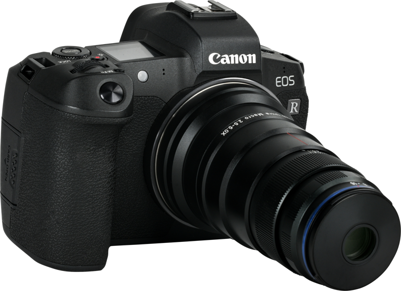 Laowa 25mm f/2.8 2.5-5X Ultra Macro Lens - Canon RF - 9