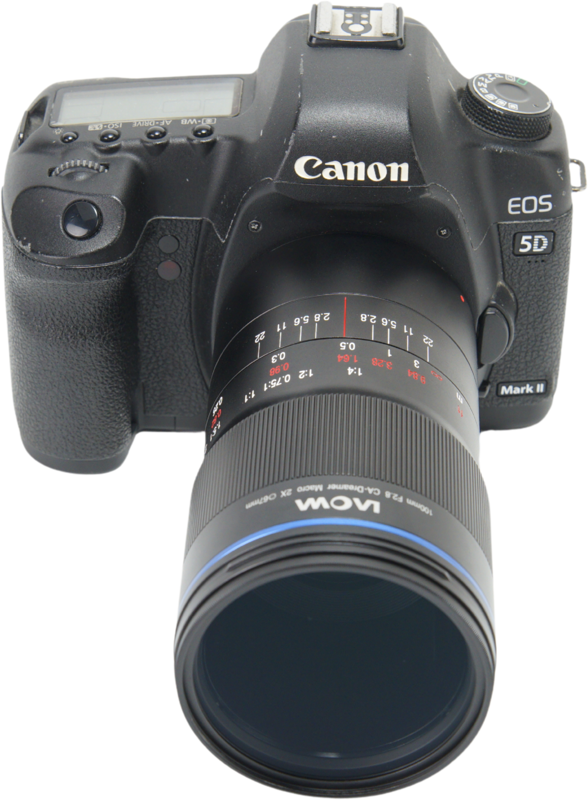 Laowa 100mm f/2.8 2x Ultra Macro APO Lens - Canon EF (Auto Aperture) - 5