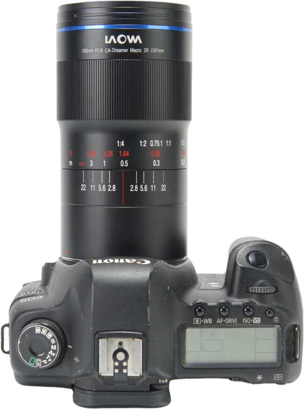 Laowa 100mm f/2.8 2x Ultra Macro APO Lens - Canon EF (Auto Aperture) - 8