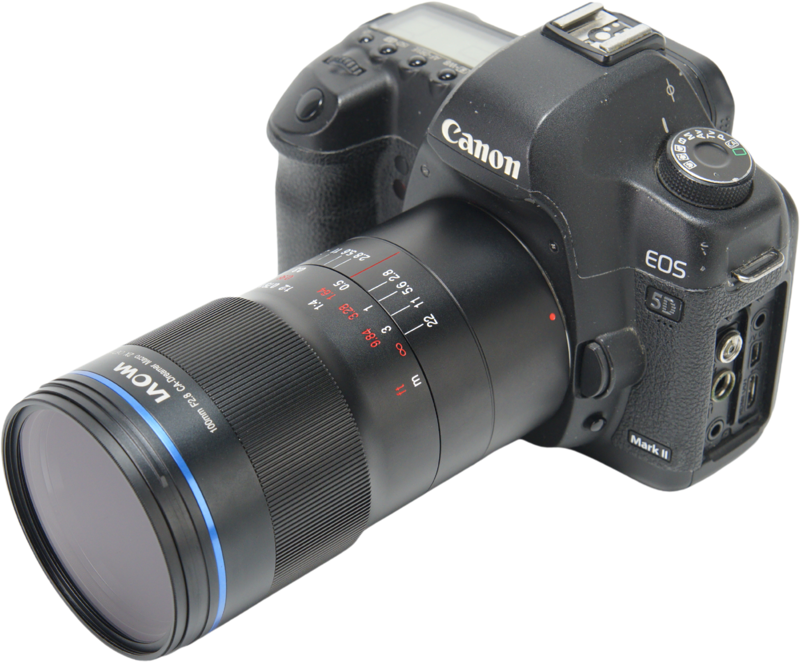 Laowa 100mm f/2.8 2x Ultra Macro APO Lens - Canon EF (Auto Aperture) - 7