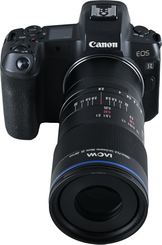 Laowa 100mm f/2.8 2x Ultra Macro APO Lens - Canon RF - 5
