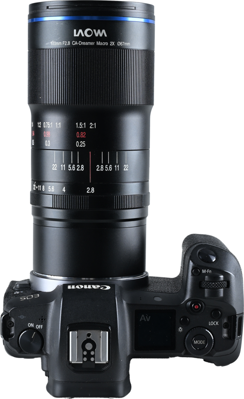Laowa 100mm f/2.8 2x Ultra Macro APO Lens - Canon RF - 8