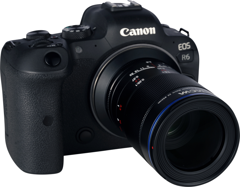 Laowa 65mm f/2.8 2X Ultra Macro Lens - Canon RF - 7