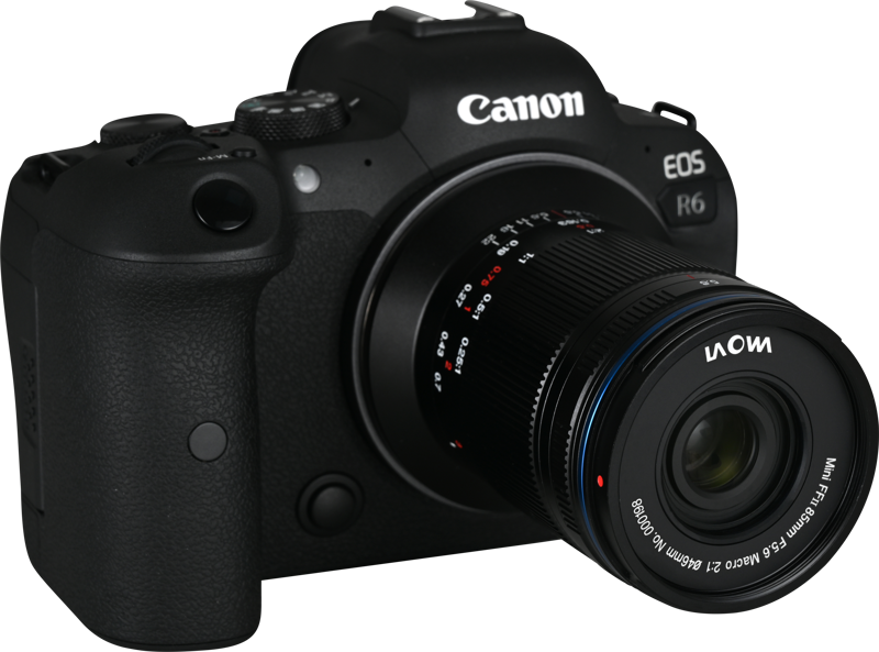 Laowa 85mm f/5.6 2X Ultra Macro APO - Canon RF - 7
