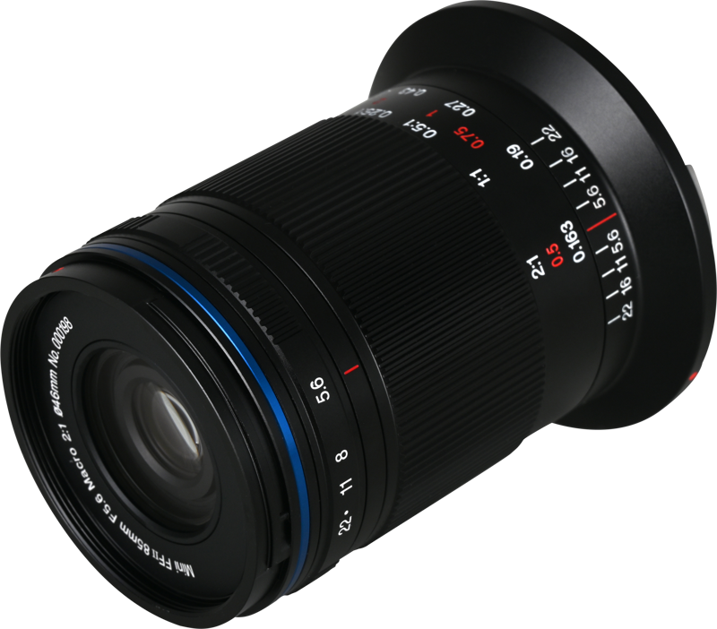 Laowa 85mm f/5.6 2X Ultra Macro APO - Canon RF - 3