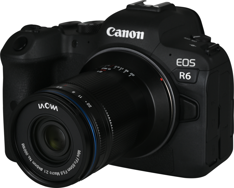 Laowa 85mm f/5.6 2X Ultra Macro APO - Canon RF - 6