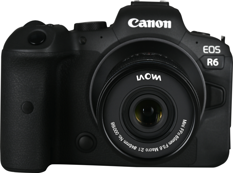 Laowa 85mm f/5.6 2X Ultra Macro APO - Canon RF - 5