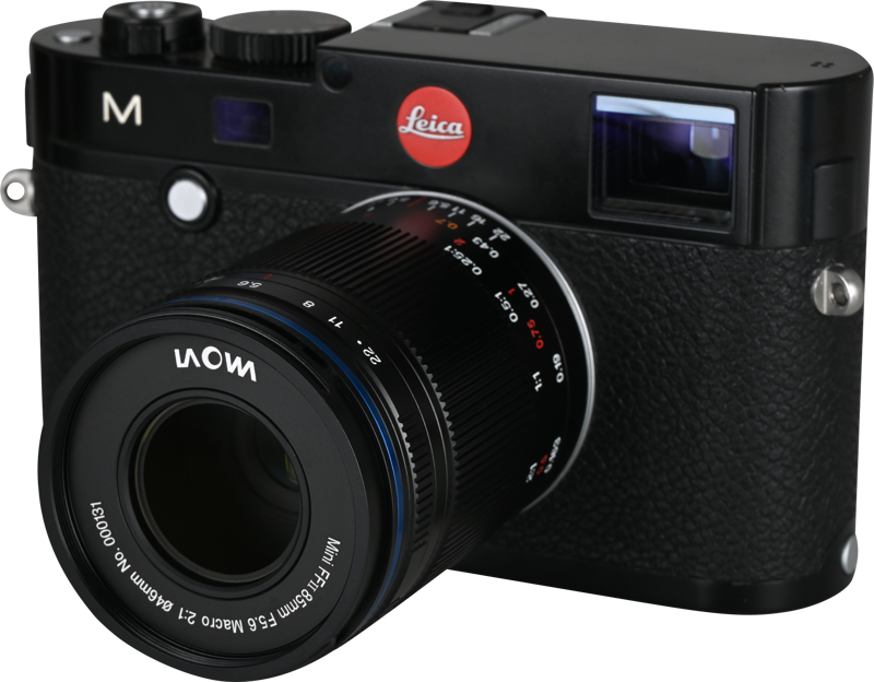Laowa 85mm f/5.6 2X Ultra Macro APO - Leica M - 7
