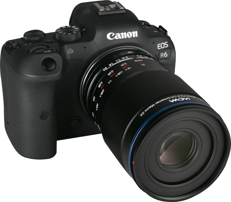 Laowa 90mm f/2.8 2X Ultra Macro APO - Canon RF - 2