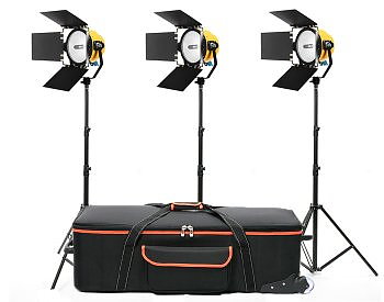 Blonde 2000w Light kit