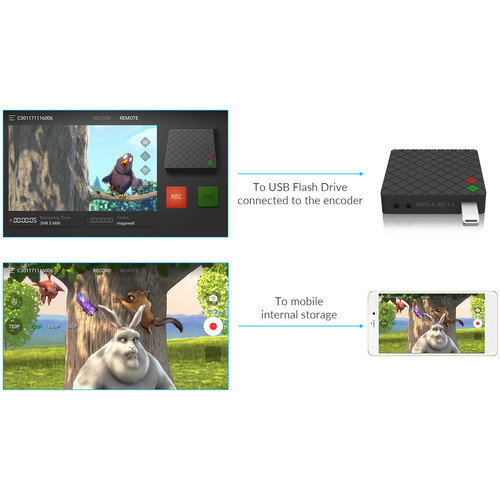 Magewell Ultra Stream HDMI – för filmskapare - 7