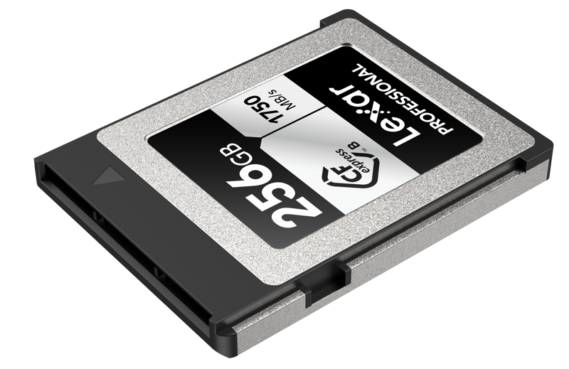 Lexar CFexpress Pro Silver Serie R1750/W1300 256GB - 4