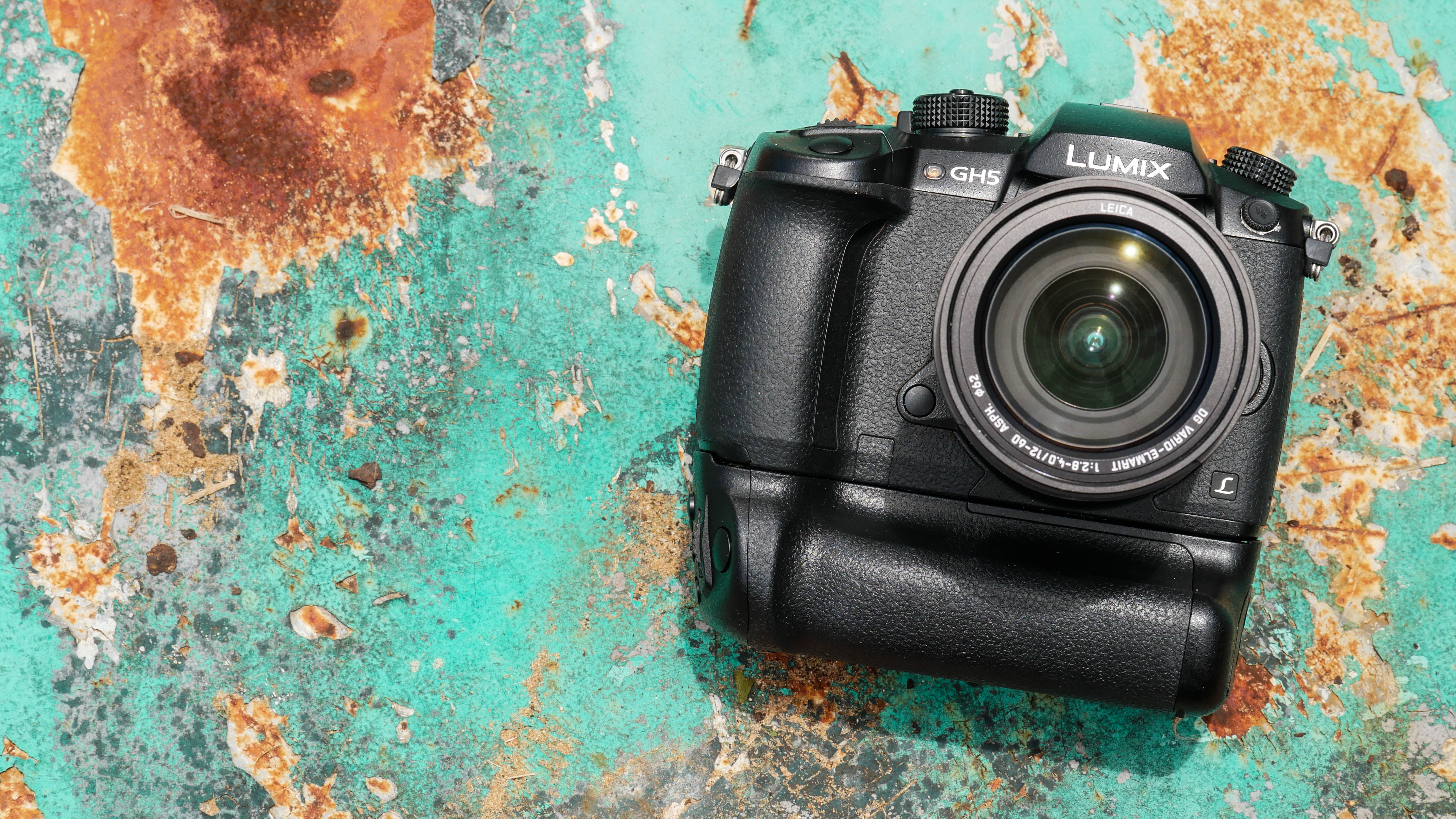 Panasonic GH5 12-60mm f2.8-4 - 10