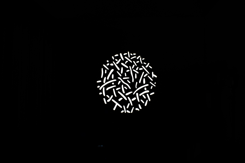 Nanlite GOBO Set 1 for PJ-FMM - 3