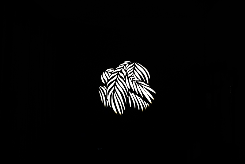 Nanlite GOBO Set 2 for PJ-FMM - 2