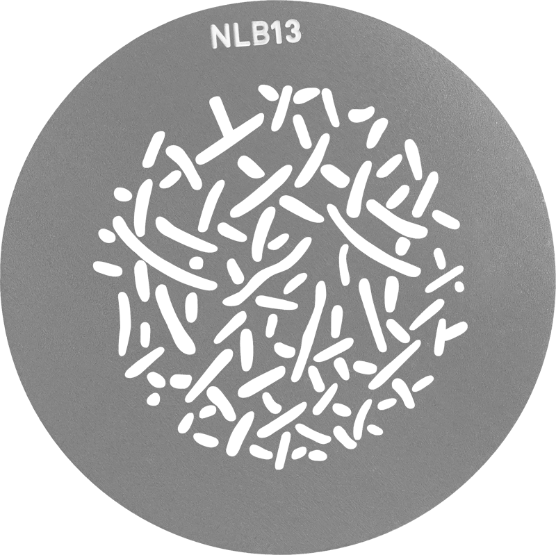 Nanlite GOBO Set 1 for PJ-BM - 7