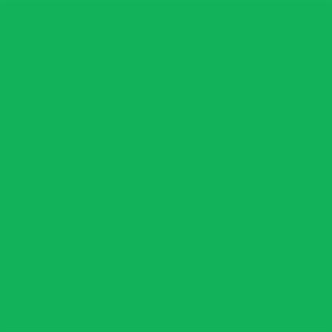 Background Paper 46 Chroma Green  x 30 m - Voosestore