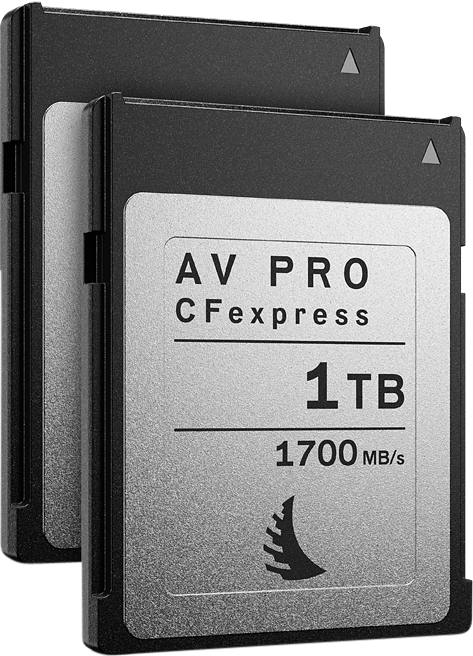 Angelbird Match Pack for Canon EOS C300 MK3 | C500 MK2 1TB | 2 PACK