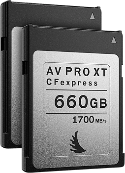 Angelbird Match Pack for Canon EOS C300 MK3 | C500 MK2 660GB | 2 PACK XT