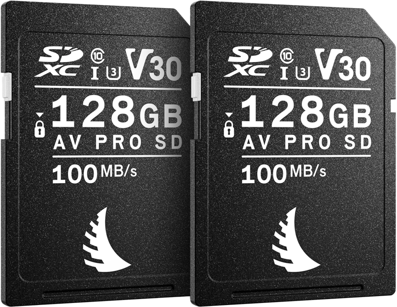 Angelbird SD Match Pack for Canon AV PRO V30 128 GB | 2 PACK