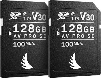Angelbird SD Match Pack for Canon AV PRO V30 128 GB | 2 PACK