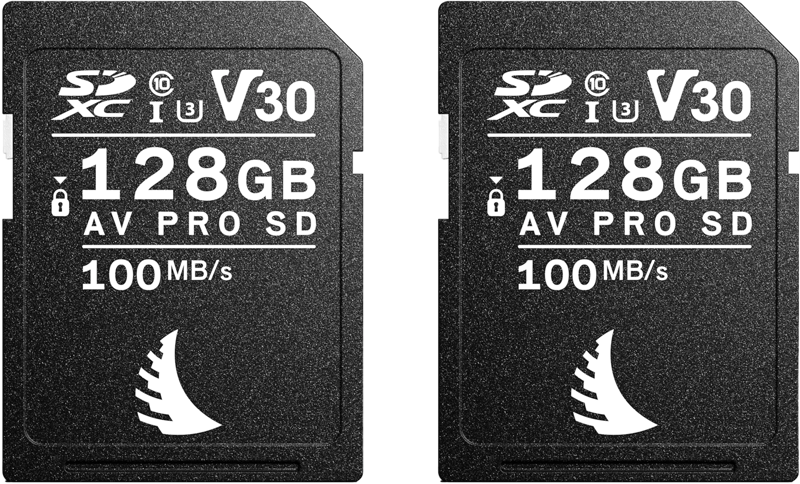 Angelbird SD Match Pack for Canon AV PRO V30 128 GB | 2 PACK - 2