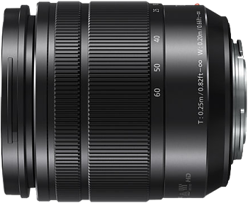 Panasonic Lens G 12-60mm f/3.5-5.6