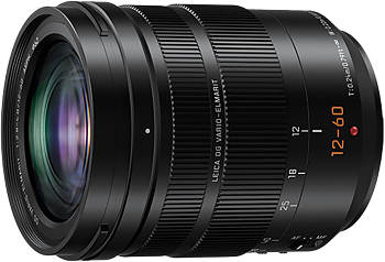 Panasonic 12-60mm f/2.8-4.0 Leica