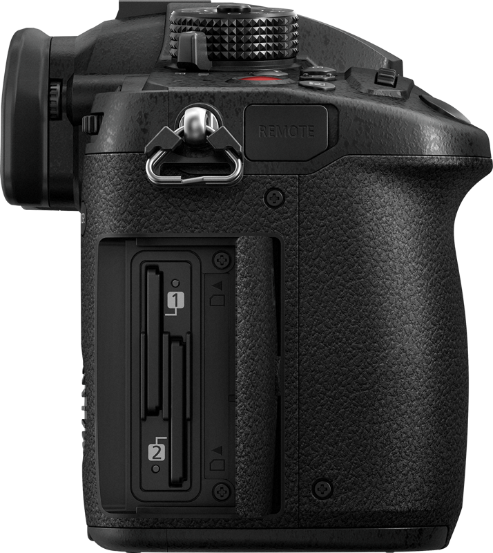Panasonic GH5M2 12-60/3.5-5.6 - 8