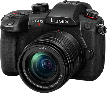 Panasonic GH5M2 12-60/3.5-5.6
