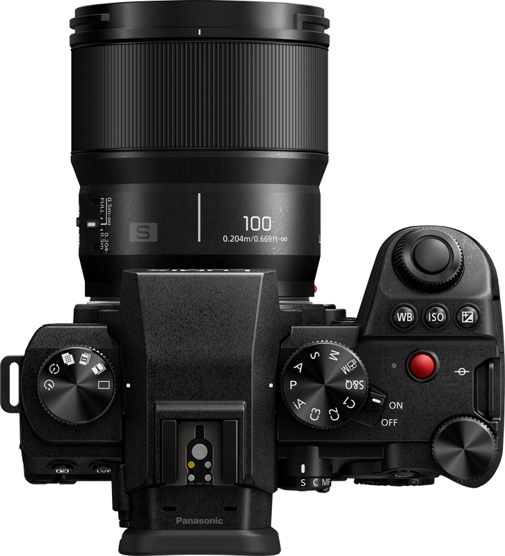 Panasonic Lumix S 100mm F/2.8 macro - 6