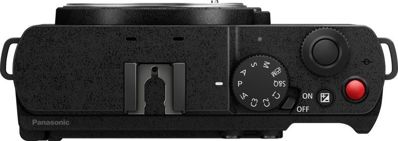 Panasonic Lumix S9 Body Dark Olive - 6