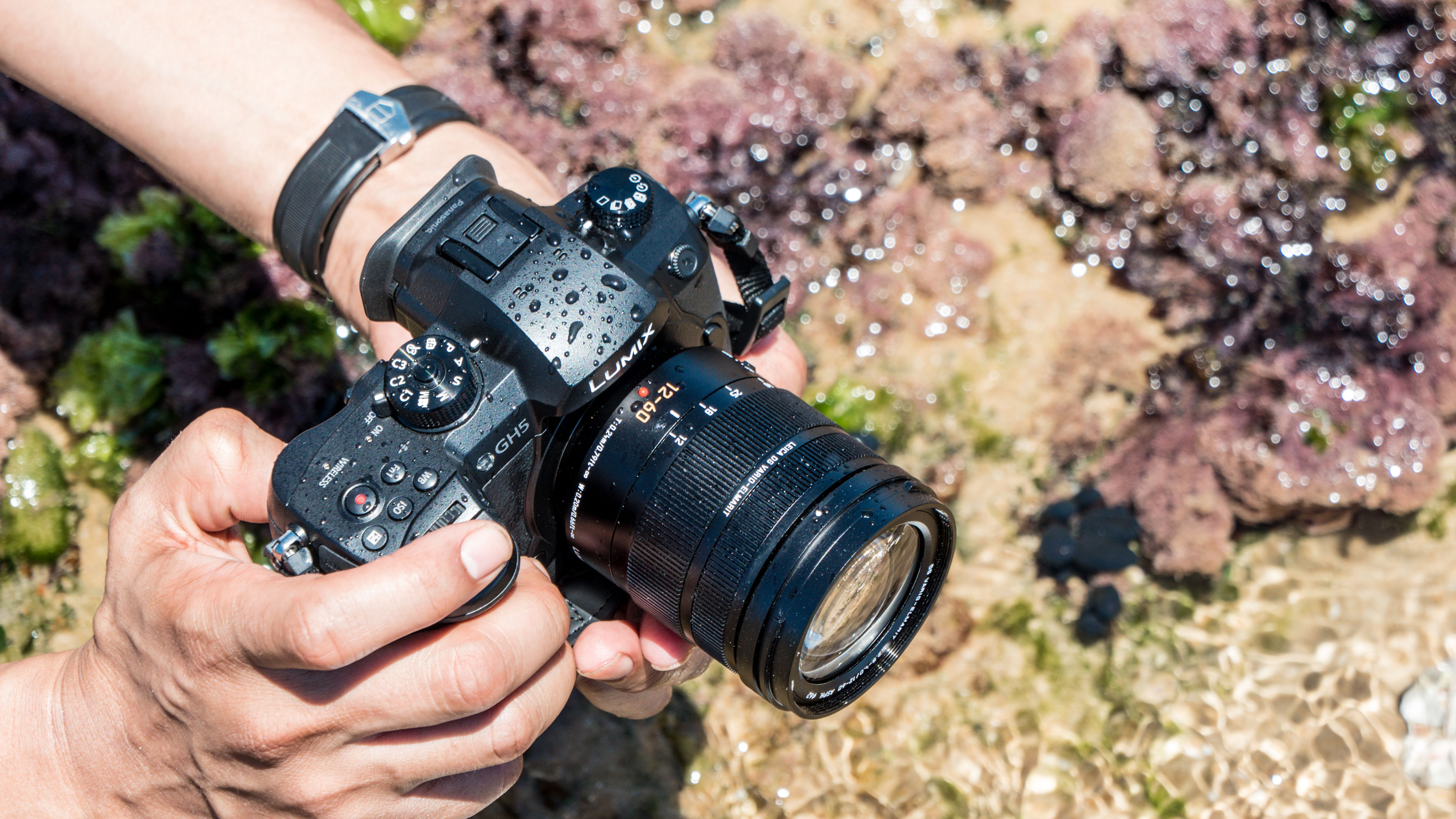  Panasonic Lumix DMC-GH5+ Lumix G Vario 12-60mm f/3,5-5,6 ASPH Power O.I.S - 7