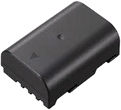 Panasonic Battery DMW-BLF19E