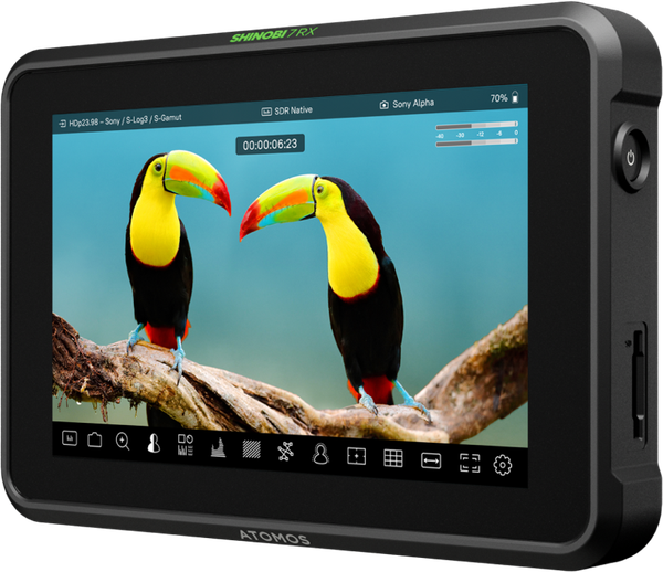 Atomos Shinobi 7 RX - 5